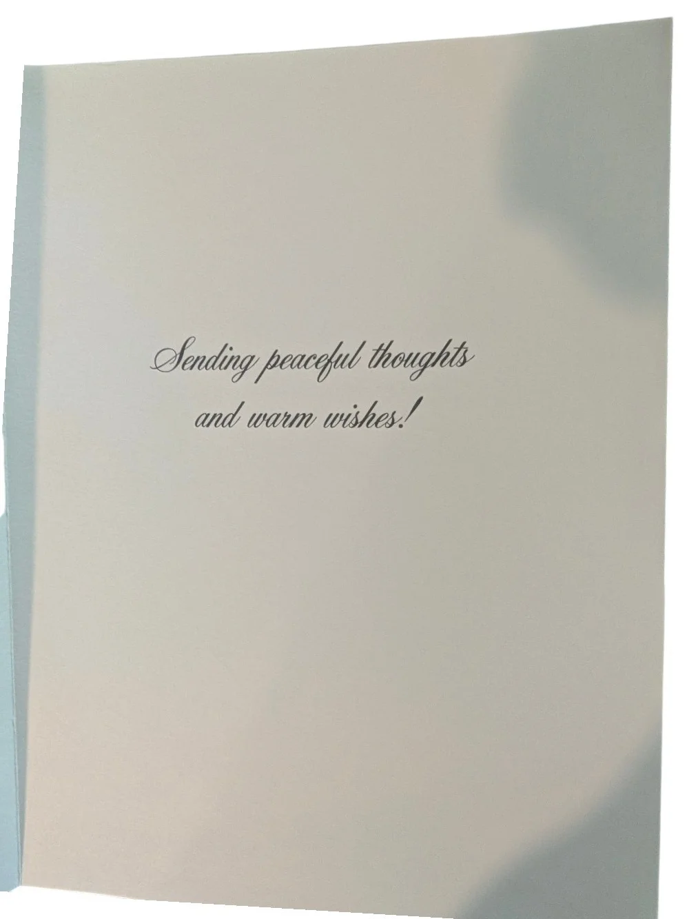 Assorted Colorful Greeting Card Pack - 10 Cards